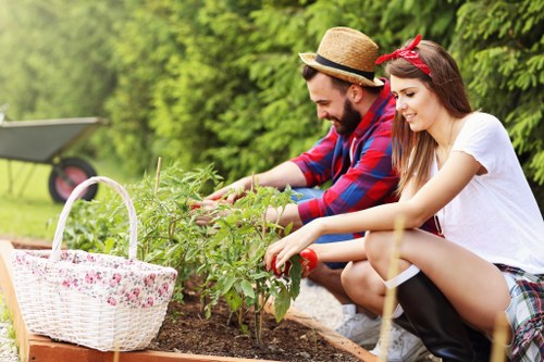Local tree maintenance service for Deptford gardens and businesses