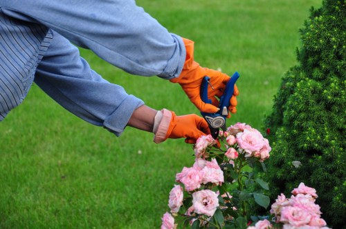 Professional stump grinder working in a small urban garden space